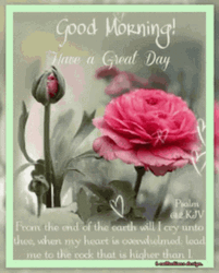 Have A Grate Day Happy Blessed Wednesday GIF
