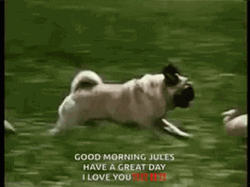 Have A Great Day At School Dog Running GIF