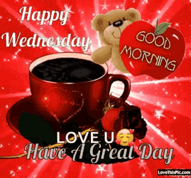 Have A Great Day Happy Wednesday GIF