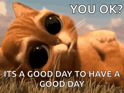 Have A Great Day Jackie Simon Peter Grace Cats The 13Th Friday GIF