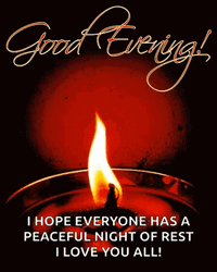 Have A Great Evening Love You All GIF