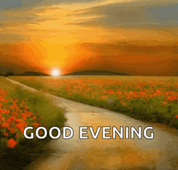 Have A Great Evening Nice View GIF