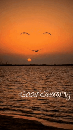 Have A Great Evening Smile Birds GIF