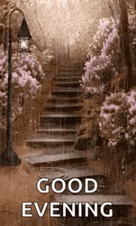 Have A Great Evening Soaking Stairs GIF