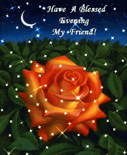 Have A Great Evening Sparkly Night GIF