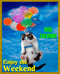 Have A Great Saturday Cat With Balloons Floating GIF