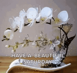 Have A Great Saturday Curved White Flowers GIF