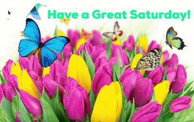 Have A Great Saturday Greeting Card With Butterflies And Flowers GIF