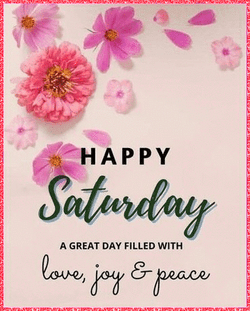 Have A Great Saturday Pink Flowers GIF
