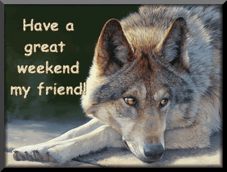 Have A Great Saturday Wolf Lying Down GIF