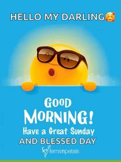 Have A Great Sunday Cool Sun GIF