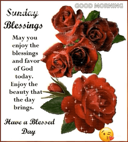 Have A Great Sunday Message GIF