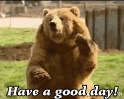 Have A Great Wednesday Grizzly Bear GIF