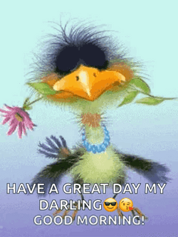 Have A Great Wednesday Morning Darling Funny GIF