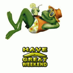 Have A Great Weekend Frog Summer GIF