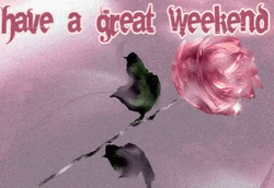 Have A Great Weekend Pink Rose GIF