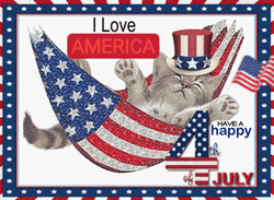 Have A Happy Fourth Of July GIF