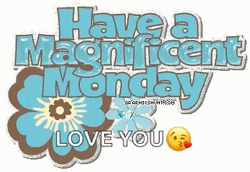Have A Magnificent And Wonderful Monday GIF
