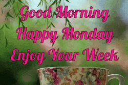 Have A Marvelous Monday GIF