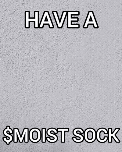 Have A $Moist Sock GIF
