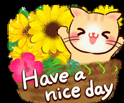 Have A Nice Day Cat Basket Flowers Bloom GIF