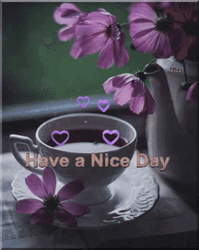 Have A Nice Day Coffee Cup Hearts Chill Relax GIF