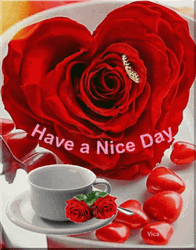 Have A Nice Day Roses Heart Coffee Red GIF
