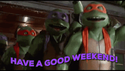 Have A Nice Good Weekend Ninja Turtles