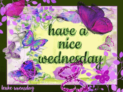 Have A Nice Happy Wednesday Beautiful GIF