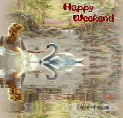 Have A Nice Happy Weekend Swan Lake