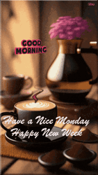 Have A Nice Monday Happy New Week GIF