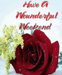 Have A Nice Wonderful Weekend Sparkling Rose