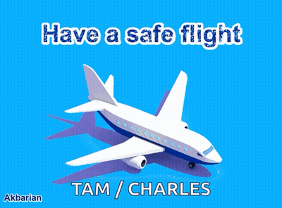 Have A Safe Flight Tam GIF