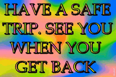 Have A Safe Trip See You Back GIF