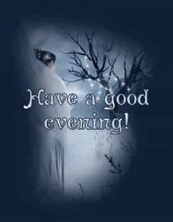 Have A Snowy Great Evening GIF