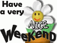 Have A Very Nice Weekend Flower Pot Smiling GIF