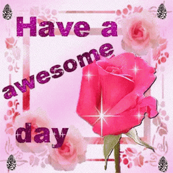 Have A Wonderful And Awesome Wednesday GIF