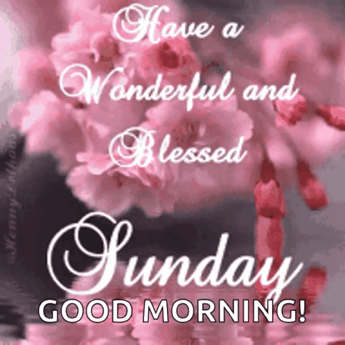Have A Wonderful And Blessed Sunday Good Morning With Pink Flowers In The Background . GIF