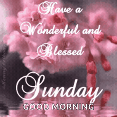 Have A Wonderful And Blessed Sunday GIF