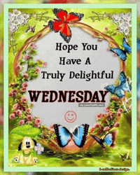 Have A Wonderful And Delightful Wednesday GIF