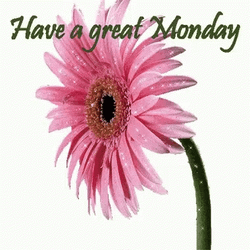 Have A Wonderful And Great Monday GIF