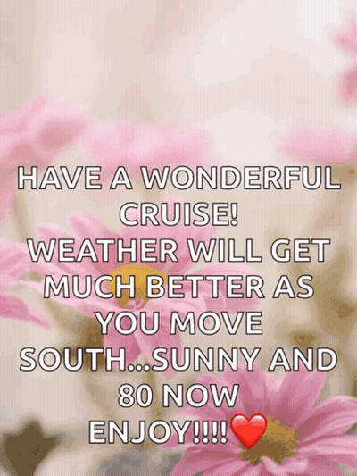 Have A Wonderful Cruise Weather Will Get Much Better As You Move South..sunny And 80 Now Enjoy !!! GIF