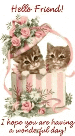Have A Wonderful Day Hello Friend GIF