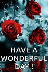 Have A Wonderful Day Red Aesthetic Roses Sparkles GIF