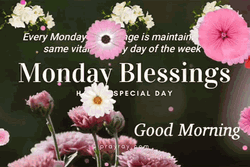 Have A Wonderful Monday Floating Flowers GIF