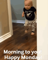 Have A Wonderful Monday To You GIF
