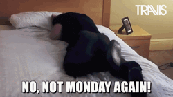 Have A Wonderful Not Monday Again GIF