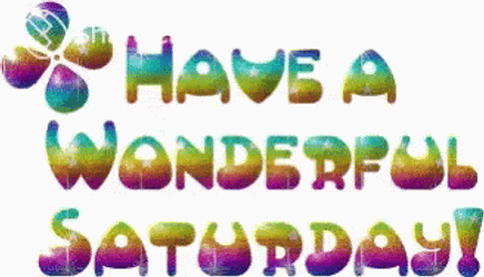 Have A Wonderful Sunny Saturday GIF
