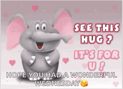 Have A Wonderful Wednesday Hugging Elephant GIF