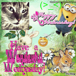 Have A Wonderful Wednesday Image Collage GIF